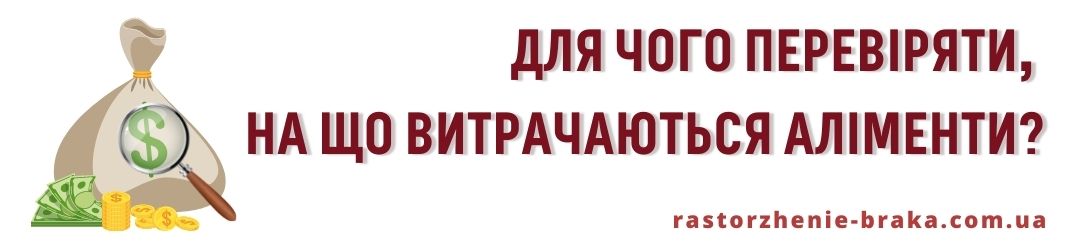 Для чого перевіряти, на що витрачаються аліменти? Для чого перевіряти, на що витрачаються аліменти?