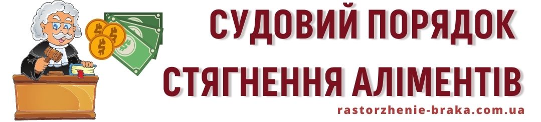 Судовий порядок стягнення аліментів Судовий порядок стягнення аліментів