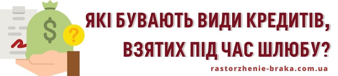 Які бувають види кредитів, взятих під час шлюбу? Які бувають види кредитів, взятих під час шлюбу?