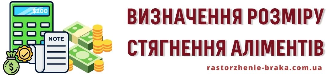 Визначення розміру стягнення аліментів