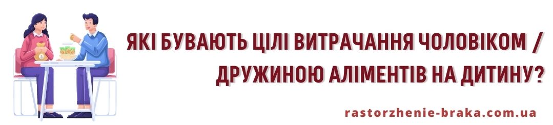 Які бувають мети витрачання чоловіком / дружиною аліментів на дитину? Які бувають мети витрачання чоловіком / дружиною аліментів на дитину?