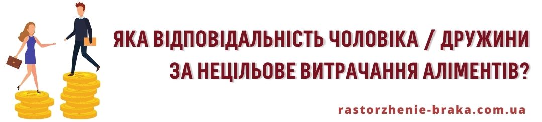 Яка відповідальність чоловіка / дружини за нецільове витрачання аліментів? Яка відповідальність чоловіка / дружини за нецільове витрачання аліментів?
