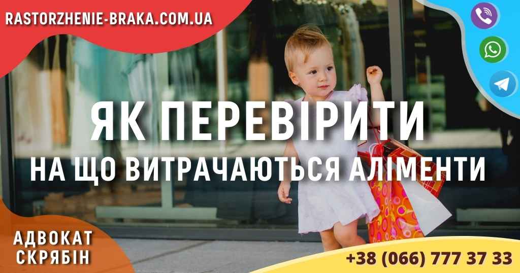 Як перевірити на що витрачаються аліменти